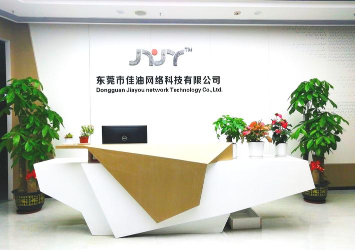 技术赋能 从咨询服务到软硬件开发的完整生态构建