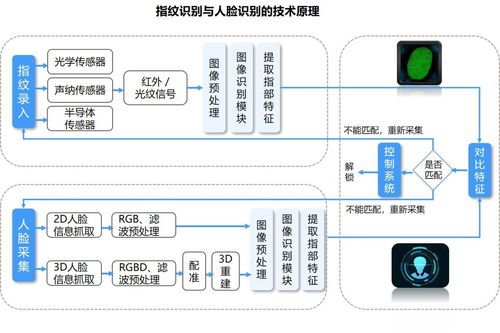唯众高职人工智能技术应用专业解决方案 融合计算机软硬件的创新技术开发